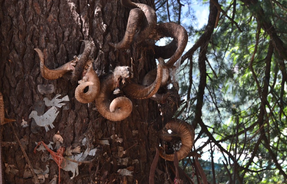  Ghatotkach Tree Temple